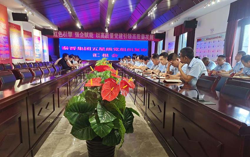 渭南市委组织部到秦晋集团开展“评星晋级争创双强”复审验收工作